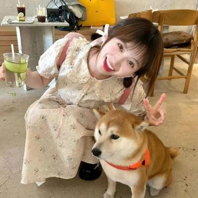 青春烈火